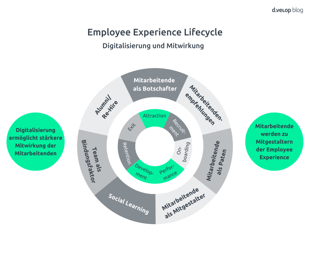 Infografik zeigt den Employee Experience Lifecycle