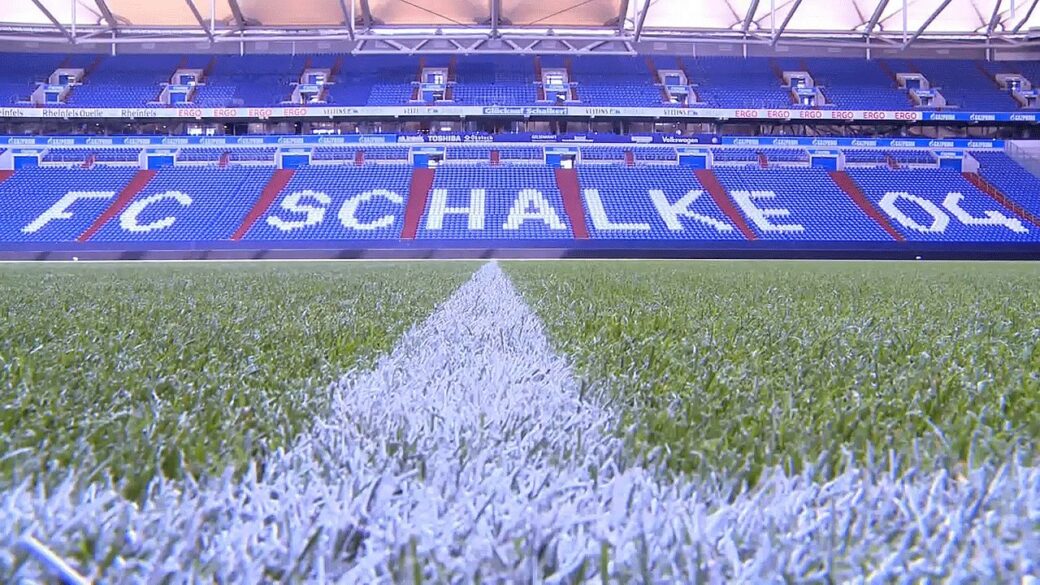 Rasen und Tribüne des Schalke Stadions